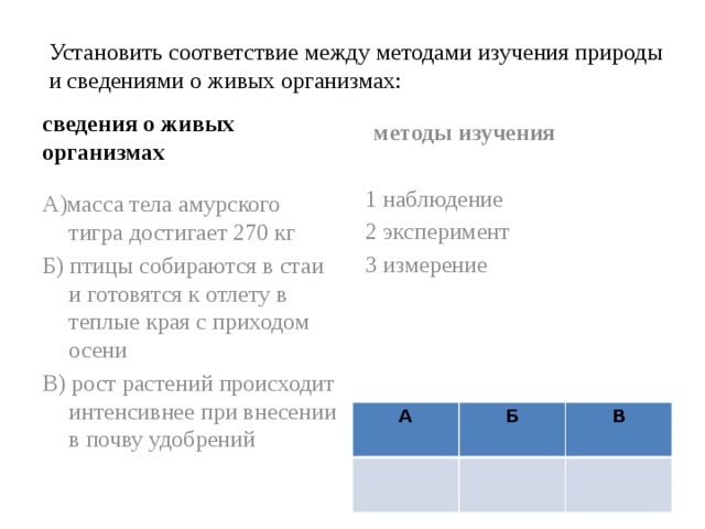 Раковина спирально закрученная критерий вида