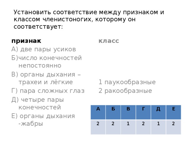 Установить соответствие между признаком и классом членистоногих, которому он соответствует: признак класс А) две пары усиков 1 паукообразные Б)число конечностей непостоянно 2 ракообразные В) органы дыхания –трахеи и лёгкие Г) пара сложных глаз Д) четыре пары конечностей Е) органы дыхания -жабры А 2 Б В 2 Г 1 Д 2 1 Е 2 