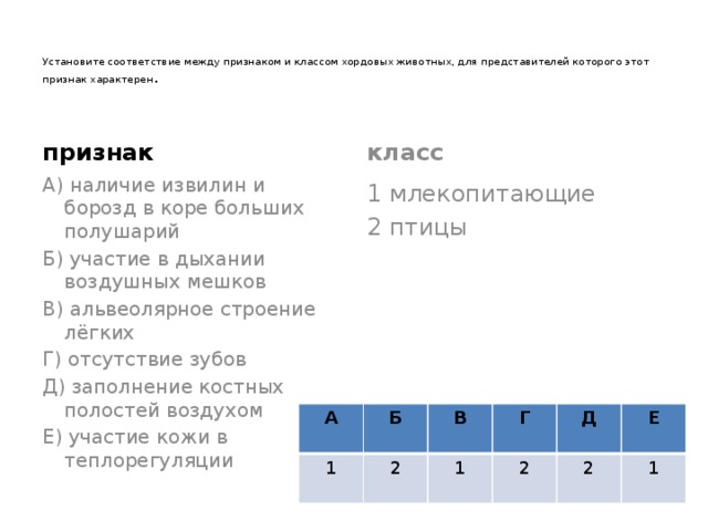   Установите соответствие между признаком и классом хордовых животных, для представителей которого этот признак характерен .   признак класс А) наличие извилин и борозд в коре  больших полушарий 1 млекопитающие Б) участие в дыхании воздушных мешков 2 птицы В) альвеолярное строение лёгких Г) отсутствие зубов Д) заполнение костных полостей воздухом Е) участие кожи в теплорегуляции А 1 Б В 2 Г 1 Д 2 2 Е 1 