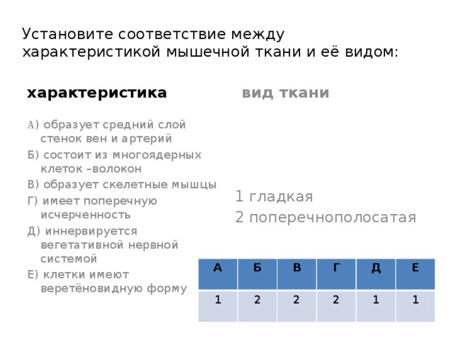 Установите соответствие между характеристиками и видами