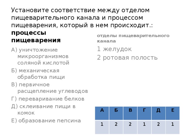 Установите соответствие между отделом пищеварительного канала и процессом пищеварения, который в нем происходит.: процессы пищеварения отделы пищеварительного канала А) уничтожение микроорганизмов соляной кислотой 1 желудок Б) механическая обработка пищи 2 ротовая полость В) первичное расщепление углеводов Г) переваривание белков Д) склеивание пищи в комок Е) образование пепсина А 1 Б В 2 Г 2 Д 1 2 Е 1 