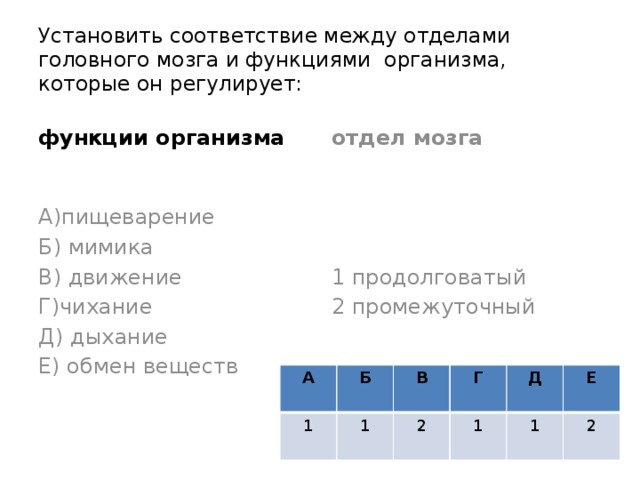 Установить соответствие между отделами головного мозга и функциями организма, которые он регулирует: функции организма отдел мозга А)пищеварение 1 продолговатый Б) мимика 2 промежуточный В) движение Г)чихание Д) дыхание Е) обмен веществ А 1 Б В 1 Г 2 Д 1 1 Е 2 