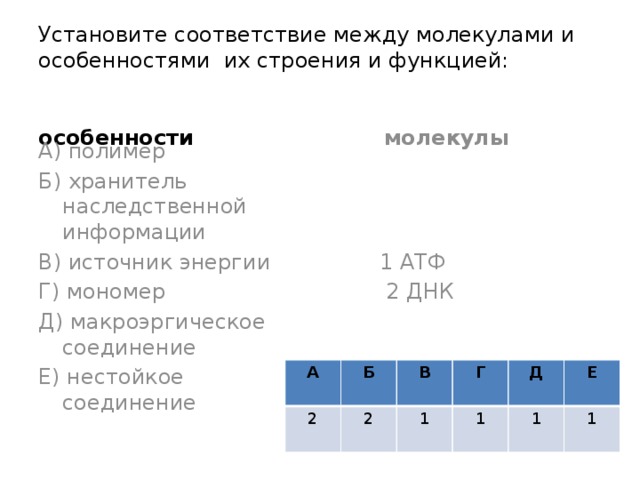 Установите соответствие между молекулярной