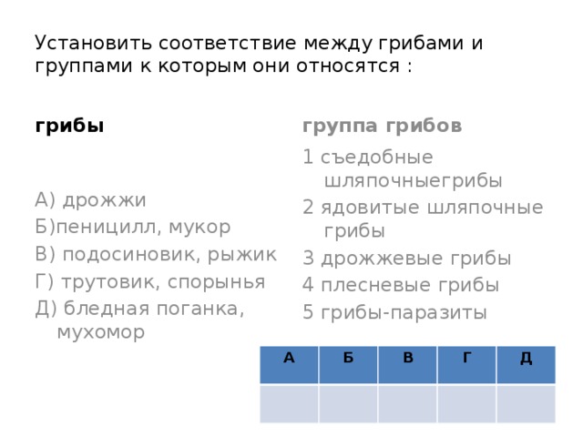 Установите соответствие гриб