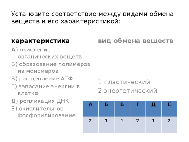 Установите соответствие между видами обмена веществ