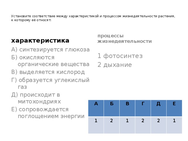 Установите соответствие между отделами растений