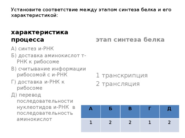 Установите соответствие между этапом синтеза белка и его характеристикой:   этап синтеза белка характеристика процесса А) синтез и-РНК 1 транскрипция Б) доставка аминокислот т-РНК к рибосоме 2 трансляция В) считывание информации рибосомой с и-РНК Г) доставка и-РНК к рибосоме Д) перевод последовательности нуклеотидов и-РНК в последовательность аминокислот А 1 Б В 2 Г 2 Д 1 2 