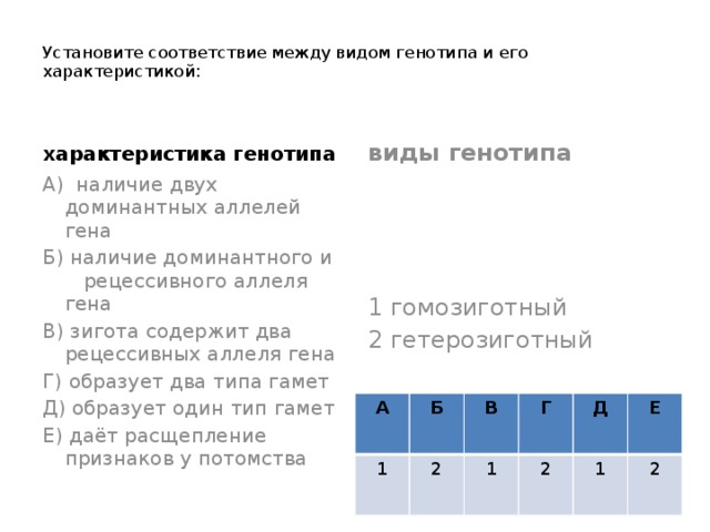 Гетерозиготный вид генотипа