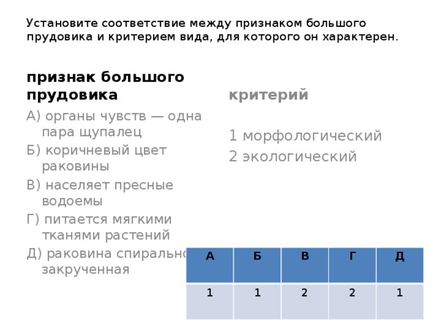 Раковина спирально закрученная критерий вида