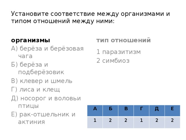 Установите соответствие между типом связи. Береза и подберезовик Тип взаимоотношений. Установите соответствие между организмами и типами. Установите соответствие между организмами и типом их отношений. Устанавите соотвестсвие между оганизмами и и.