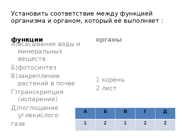 Установить соответствие между функцией организма и органом, который её выполняет : органы функции А)всасывание воды и минеральных веществ 1 корень 2 лист Б)фотосинтез В)закрепление растений в почве Г)транскрипция (испарение) Д)поглощение углекислого газа А 1 Б В 2 Г 1 Д 2 2 