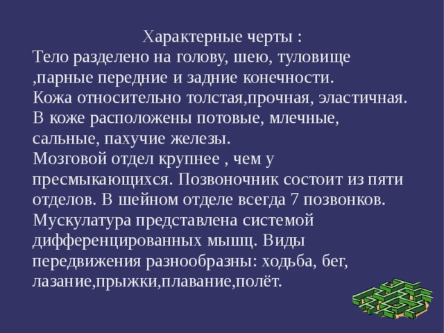 Характерные черты : Тело разделено на голову, шею, туловище ,парные передние и задние конечности. Кожа относительно толстая,прочная, эластичная. В коже расположены потовые, млечные, сальные, пахучие железы. Мозговой отдел крупнее , чем у пресмыкающихся. Позвоночник состоит из пяти отделов. В шейном отделе всегда 7 позвонков. Мускулатура представлена системой дифференцированных мышц. Виды передвижения разнообразны: ходьба, бег, лазание,прыжки,плавание,полёт. 
