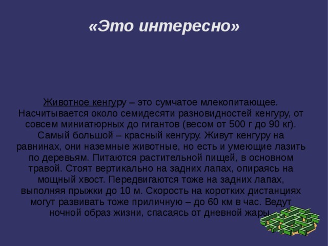 «Это интересно» Животное кенгу ру – это сумчатое млекопитающее. Насчитывается около семидесяти разновидностей кенгуру, от совсем миниатюрных до гигантов (весом от 500 г до 90 кг). Самый большой – красный кенгуру. Живут кенгуру на равнинах, они наземные животные, но есть и умеющие лазить по деревьям. Питаются растительной пищей, в основном травой. Стоят вертикально на задних лапах, опираясь на мощный хвост. Передвигаются тоже на задних лапах, выполняя прыжки до 10 м. Скорость на коротких дистанциях могут развивать тоже приличную – до 60 км в час. Ведут ночной образ жизни, спасаясь от дневной жары. 