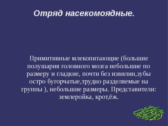 Отряд насекомоядные. Примитивные млекопитающие (большие полушария головного мозга небольшие по размеру и гладкие, почти без извилин,зубы остро бугорчатые,трудно разделяемые на группы ), небольшие размеры. Представители: землеройка, крот,ёж. 