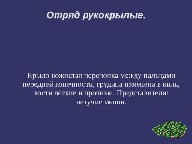 Отряд рукокрылые. Крыло-кожистая перепонка между пальцами передней конечности, грудина изменена в киль, кости лёгкие и прочные. Представители: летучие мыши. 
