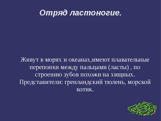 Отряд ластоногие. Живут в морях и океанах,имеют плавательные перепонки между пальцами (ласты) , по строению зубов похожи на хищных. Представители: гренландский тюлень, морской котик. 