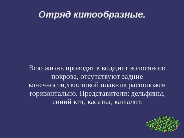 Отряд китообразные. Всю жизнь проводят в воде,нет волосяного покрова, отсутствуют задние конечности,хвостовой плавник расположен горизонтально. Представители: дельфины, синий кит, касатка, кашалот. 