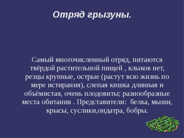 Отряд грызуны. Самый многочисленный отряд, питаются твёрдой растительной пищей , клыков нет, резцы крупные, острые (растут всю жизнь по мере истирания), слепая кишка длинная и объёмистая, очень плодовиты; разнообразные места обитания . Представители: белка, мыши, крысы, суслики,ондатра, бобры. 