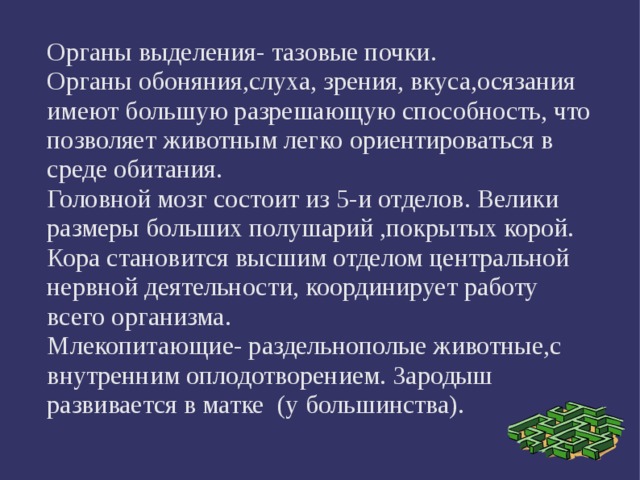 Органы выделения- тазовые почки. Органы обоняния,слуха, зрения, вкуса,осязания имеют большую разрешающую способность, что позволяет животным легко ориентироваться в среде обитания. Головной мозг состоит из 5-и отделов. Велики размеры больших полушарий ,покрытых корой. Кора становится высшим отделом центральной нервной деятельности, координирует работу всего организма. Млекопитающие- раздельнополые животные,с внутренним оплодотворением. Зародыш развивается в матке (у большинства). 