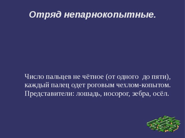Отряд непарнокопытные. Число пальцев не чётное (от одного до пяти), каждый палец одет роговым чехлом-копытом. Представители: лошадь, носорог, зебра, осёл. 