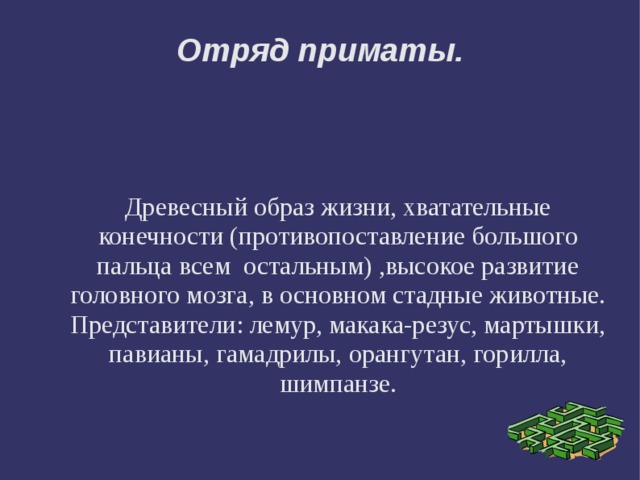 Отряд приматы. Древесный образ жизни, хватательные конечности (противопоставление большого пальца всем остальным) ,высокое развитие головного мозга, в основном стадные животные. Представители: лемур, макака-резус, мартышки, павианы, гамадрилы, орангутан, горилла, шимпанзе. 