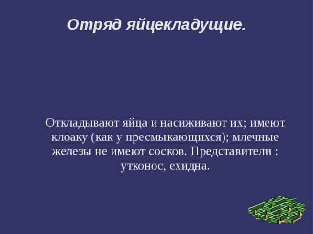 Отряд яйцекладущие. Откладывают яйца и насиживают их; имеют клоаку (как у пресмыкающихся); млечные железы не имеют сосков. Представители : утконос, ехидна. 