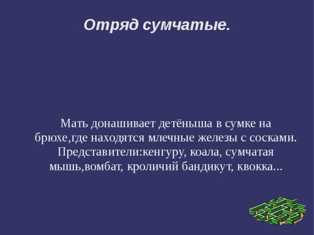 Отряд сумчатые. Мать донашивает детёныша в сумке на брюхе,где находятся млечные железы с сосками. Представители:кенгуру, коала, сумчатая мышь,вомбат, кроличий бандикут, квокка... 