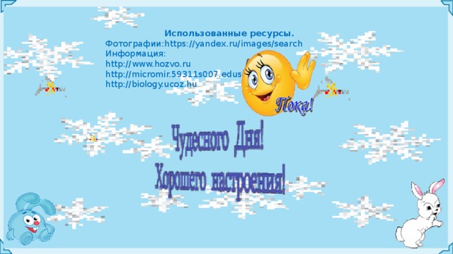  Использованные ресурсы. Фотографии:https://yandex.ru/images/search Информация: http://www.hozvo.ru http://micromir.59311s007.edusite.ru http://biology.ucoz.hu 