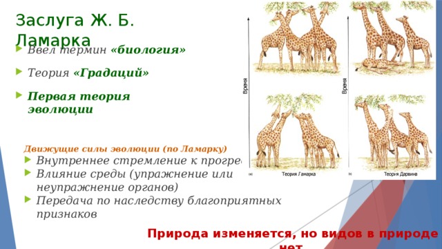 Синтетическая теория ламарка