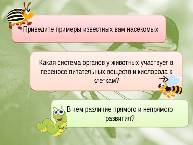 Приведите примеры известных вам насекомых Какая система органов у животных участвует в переносе питательных веществ и кислорода к клеткам? В чем различие прямого и непрямого развития?