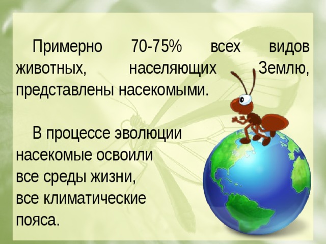 Примерно 70-75% всех видов животных, населяющих Землю, представлены насекомыми.  В процессе эволюции насекомые освоили все среды жизни, все климатические пояса.