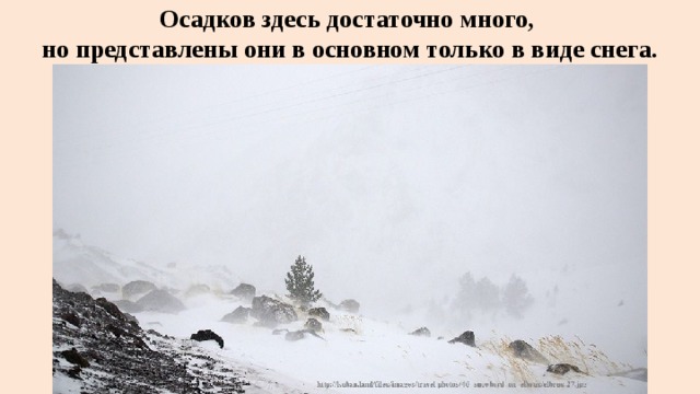 Осадков здесь достаточно много,  но представлены они в основном только в виде снега. 