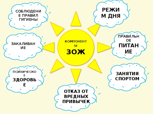 РЕЖИМ ДНЯ СОБЛЮДЕНИЕ ПРАВИЛ ГИГИЕНЫ КОМПОНЕНТЫ  ЗОЖ ПРАВИЛЬНОЕ ПИТАНИЕ ЗАКАЛИВАНИЕ ЗАНЯТИЯ СПОРТОМ ПСИХИЧЕСКОЕ ЗДОРОВЬЕ ОТКАЗ ОТ ВРЕДНЫХ ПРИВЫЧЕК 