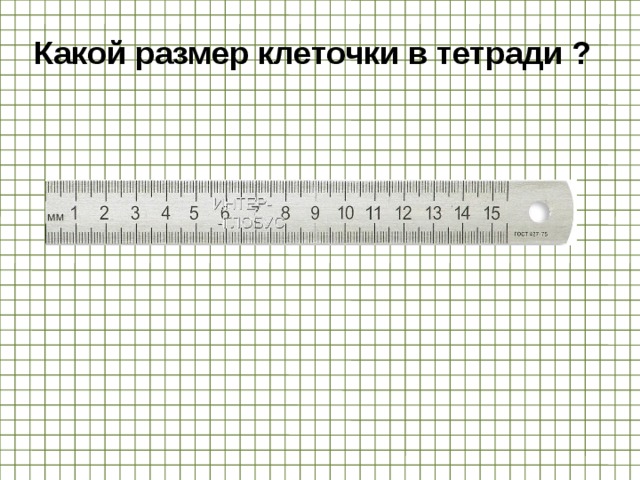 Какой размер клеточки в тетради ? 