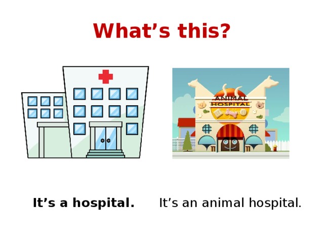 What’s this? It’s a hospital. It’s an animal hospital. 