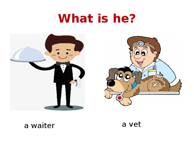 What is he? a vet a waiter 