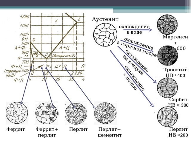 Схема микроструктуры стали 40