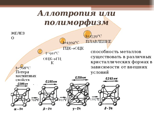 Структура схем полиморфна