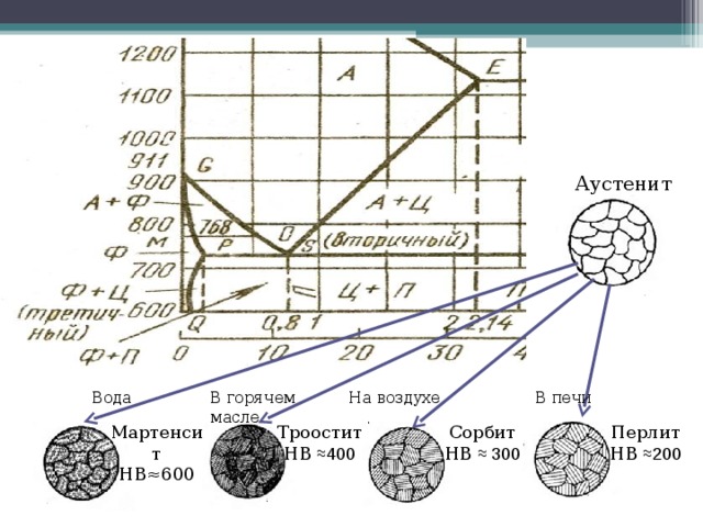 Схема структуры аустенит феррит