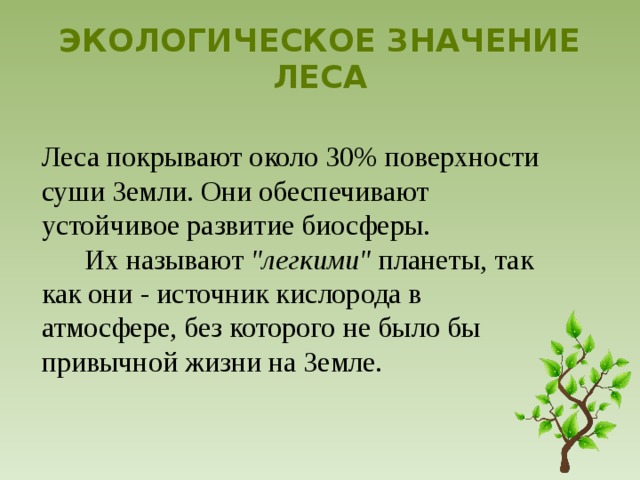 6 класс география презентация жизнь на поверхности суши леса