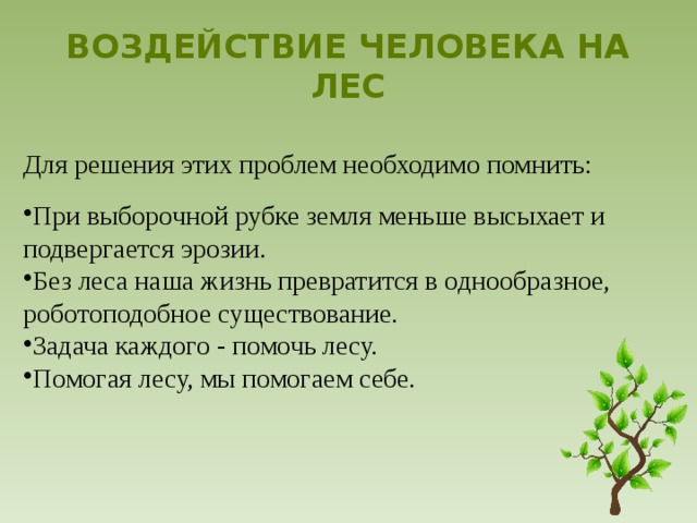 Лесные документы