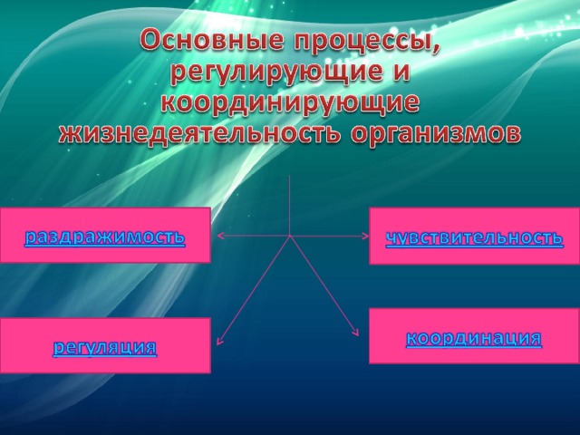 Регуляция жизнедеятельности организмов 6 класс презентация