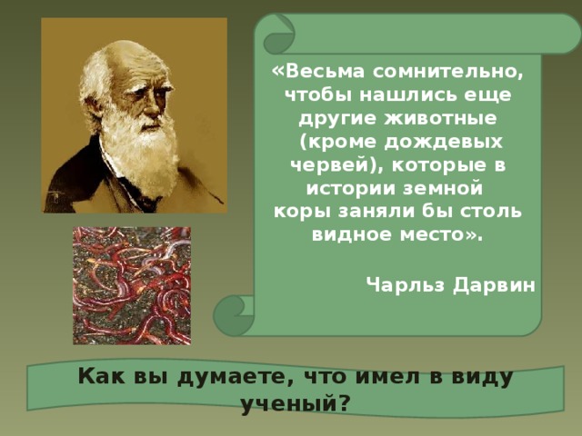 « Весьма сомнительно, чтобы нашлись еще другие животные  (кроме дождевых червей), которые в истории земной коры заняли бы столь видное место».  Чарльз Дарвин  Как вы думаете, что имел в виду ученый? 