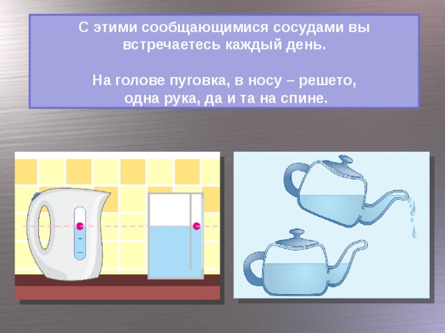 С этими сообщающимися сосудами вы встречаетесь каждый день.  На голове пуговка, в носу – решето,  одна рука, да и та на спине.