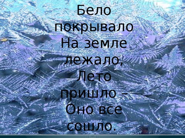 Бело покрывало  На земле лежало,  Лето пришло –  Оно все сошло.