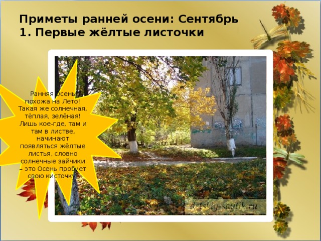 Приметы ранней осени: Сентябрь  1. Первые жёлтые листочки   Ранняя Осень похожа на Лето! Такая же солнечная, тёплая, зелёная! Лишь кое-где, там и там в листве, начинают появляться жёлтые листья, словно солнечные зайчики – это Осень пробует свою кисточку. 