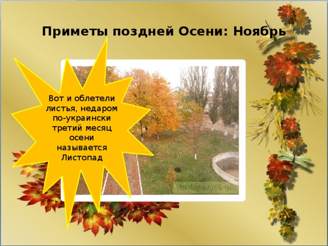 Приметы поздней Осени: Ноябрь Вот и облетели листья, недаром по-украински третий месяц осени называется Листопад 