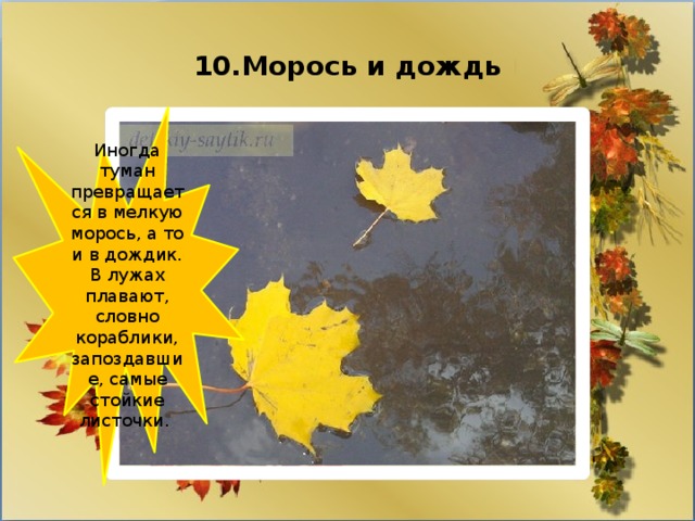 10.Морось и дождь Иногда туман превращается в мелкую морось, а то и в дождик. В лужах плавают, словно кораблики, запоздавшие, самые стойкие листочки.  