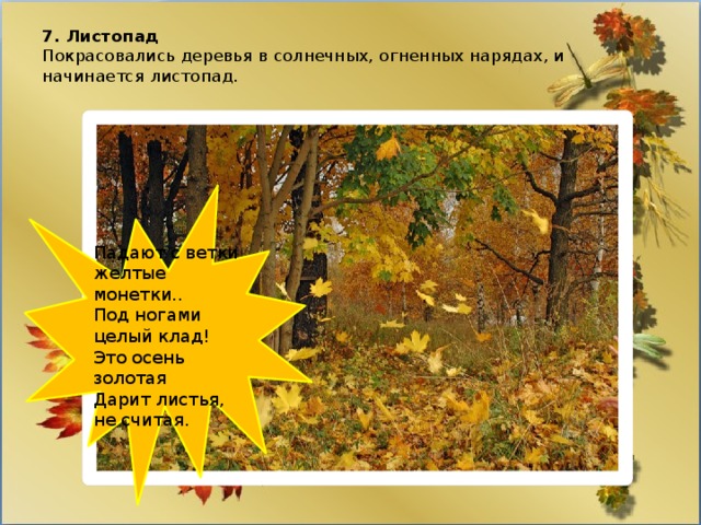 7. Листопад  Покрасовались деревья в солнечных, огненных нарядах, и начинается листопад.    Падают с ветки желтые монетки.. Под ногами целый клад! Это осень золотая Дарит листья, не считая. 