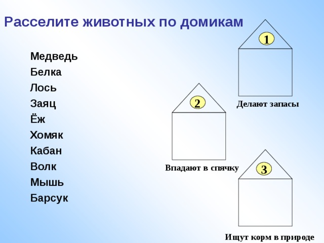 Расселите животных по домикам 1 Медведь Белка Лось Заяц Ёж Хомяк Кабан Волк Мышь Барсук  2 Делают запасы Впадают в спячку 3 Ищут корм в природе 